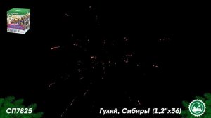СП7825