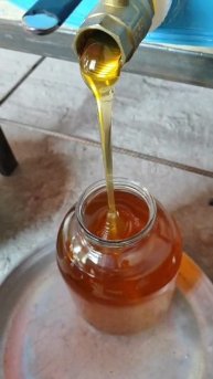 Мёд- это жизнь.