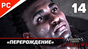 Assassin's Creed: Shadows Прохождение на ПК ✪ Без Комментариев — Часть 14: «Перерождение»