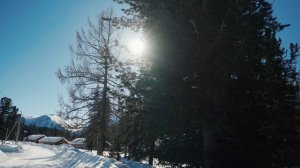 SUNRISE Рахманы