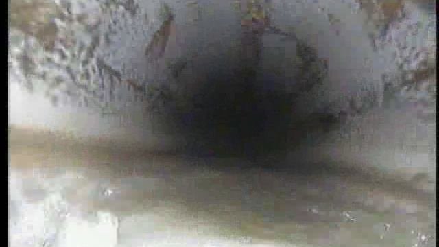 Телеинспекция