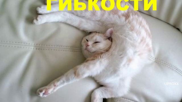 Настрой на утреннее хорошее настроение от BN-24 Недвижимость