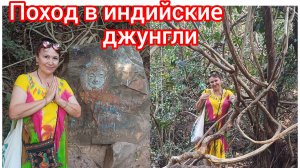 Скорпионы и дикообразы в джунглях 🦂