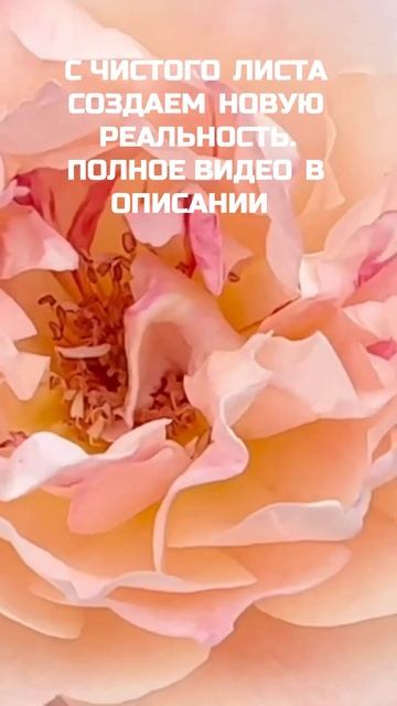 СЧАСТЛИВАЯ ЖИЗНЬ смотреть онлайн