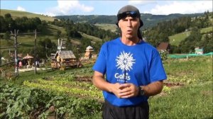 Голтис об Исцеляющем Импульсе, о прессе.