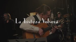 PADRE - La Tristeza Volverá (LIVE at PARAMETRIKA STUDIO 17.01.2025)
