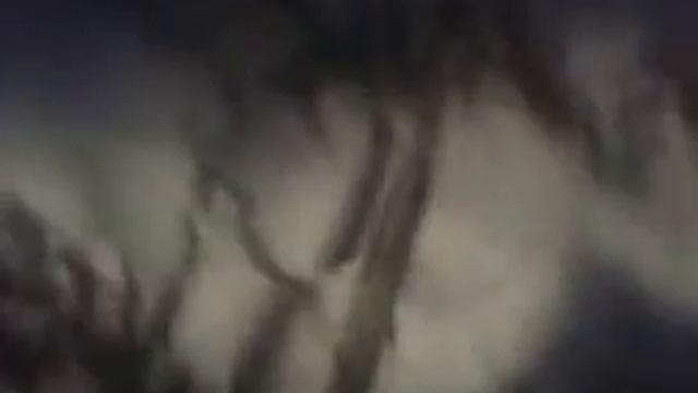 мтз 82.1 планируем дорогу перед морозами смотреть онлайн