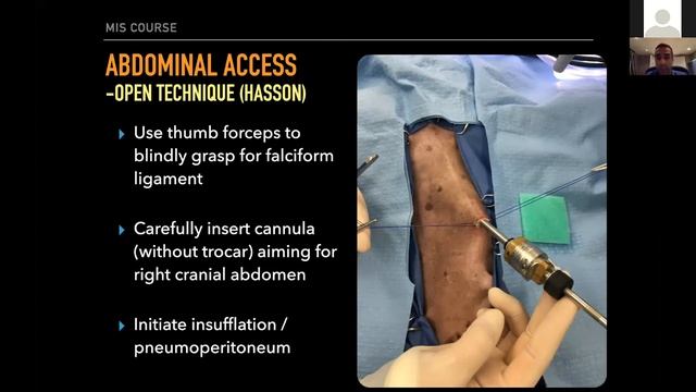 Veterinary Laparoscopy Basics: Access and Approaches смотреть онлайн