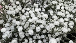 ФИКС ПРАЙС | Обзор Новинок Fix Price Март 2025