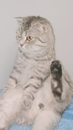 Это не мой путь ,а твой ! 👋🏼