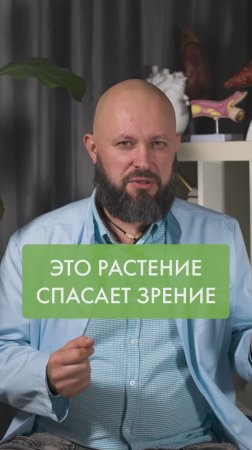 Это растение СПАСЁТ твоё ЗРЕНИЕ!