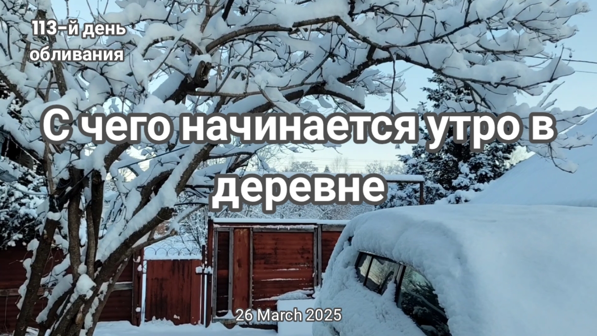 Доброе весеннее утро!