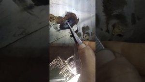 как выкрутить сломанный болт из кузова автомобиля