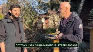 Как искусство бонсай изменило мою жизнь?