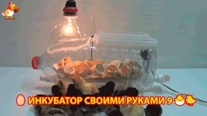 Инкубатор своими руками из подручных материалов и результат инкубации🥚🐣🐤 вариант (9)