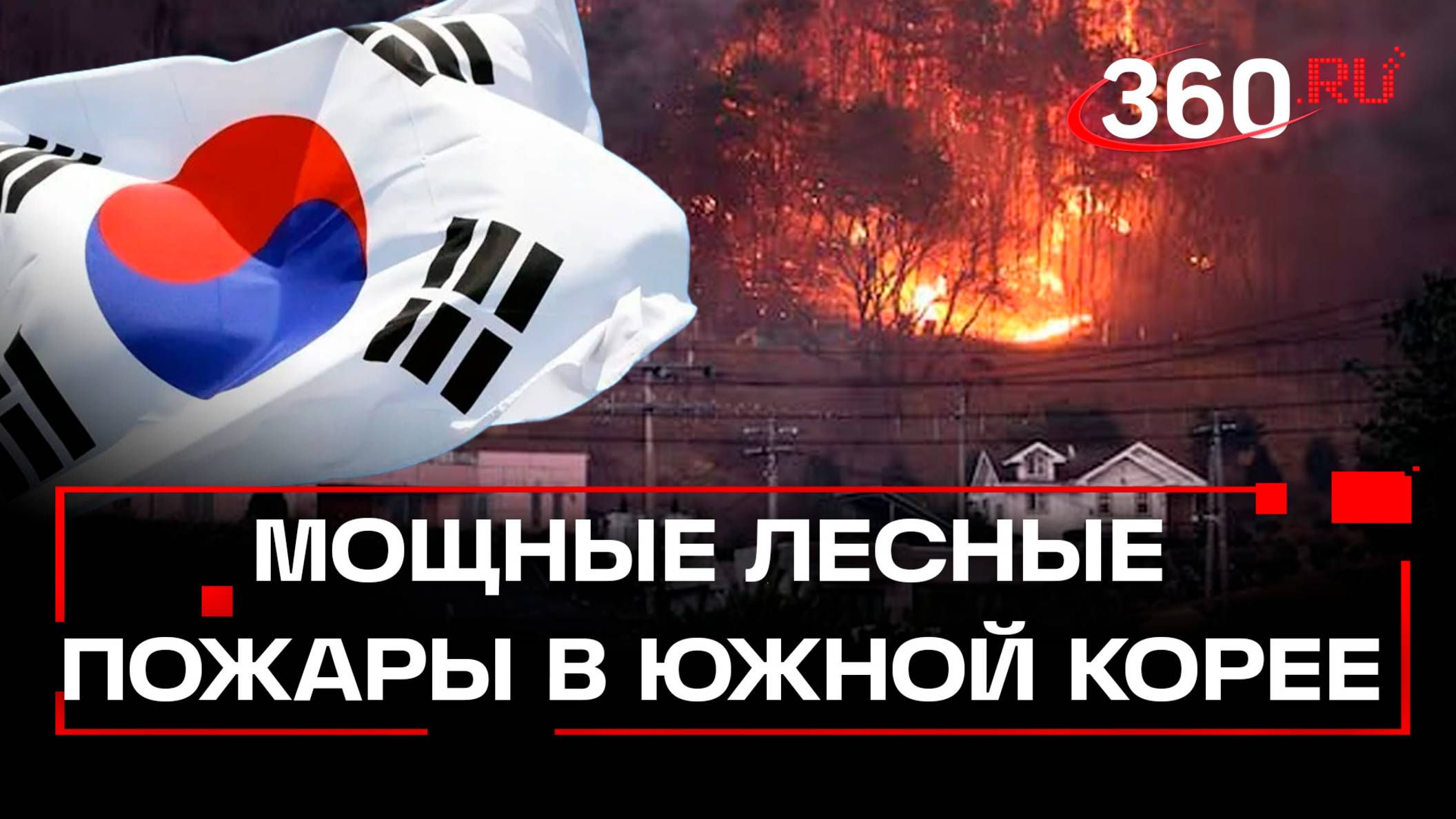 Южная Корея превратилась в огненный ад: страну поглотили пожары