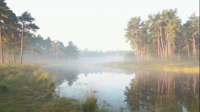 АФФИРМАЦИИ НА КАЖДЫЙ ДЕНЬ ДЛЯ МУЖЧИН И ЖЕНЩИН 