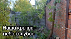 Купил заброшенный гараж с кленовым лесом внутри