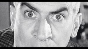 Вся правда о Луи де Фюнесе