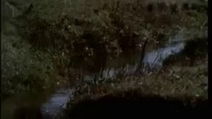 Киноальманах ПО СОВЕТСКОМУ СОЮЗУ 1973 г № 110