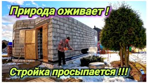 Подготовка к строительству дома. Деревенские будни. Начало сезона в переди