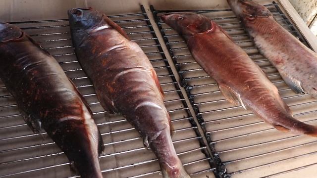 Как коптить горбушу. Гарячее копчение