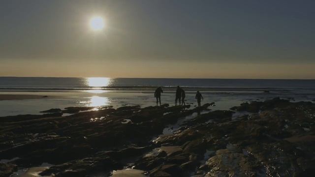 Great Ocean Road Adventure with BMPRO ProSmart 2021 (Full Version) смотреть онлайн