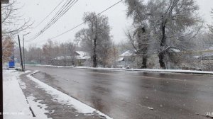 Попурри плюс
