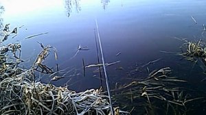 в начале апреля 2023. ОР (1)