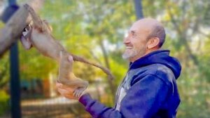 Люська жжет не по детски, это САМАЯ ВЕСЕЛАЯ ОБЕЗЬЯНКА в Мире)))