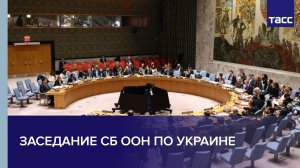 Заседание СБ ООН по Украине