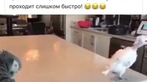 Просто наслаждайся Жизнью! (Взято из сети)