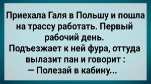Как Галя в Польше На Трассе Работала! Сборник Свежих Анекдотов! Юмор!