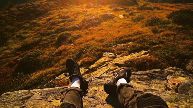 Wander | Sony a6500 + Dji mavic Pro | Cinematic Video смотреть онлайн