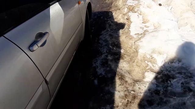 Собака ждет по команде смотреть онлайн