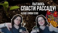 Деревенские будни: борьба за рассаду, новые посевы! Простая жизнь в деревне весной | март 2025