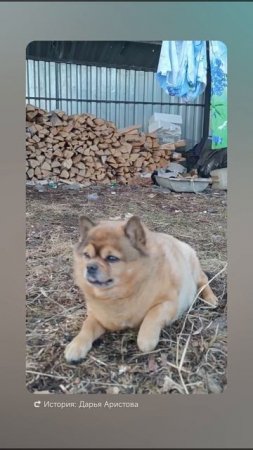 1000000535.mp4