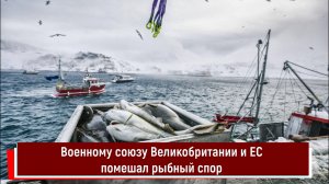Военному союзу Великобритании и ЕС помешал рыбный спор