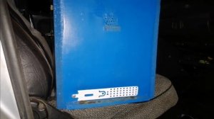 ПОЙМАЛ РОЙ ПЧЁЛ. РОЕЛОВСТВО 2022