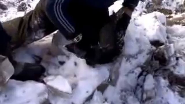 глухарь смотреть онлайн