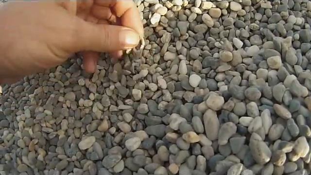 74th hunt of 2013, ( 925 meets stainless ) fairbanks Alaska смотреть онлайн