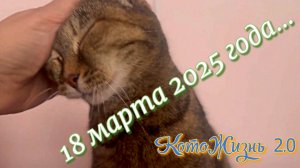 18 марта 2025 г.