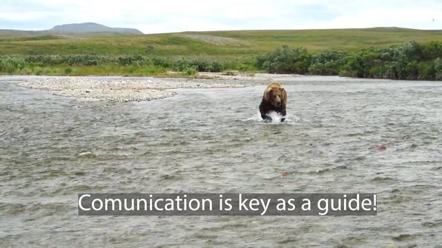 Huge Grizzly Bear Gets A Warning ⚠️ #alaska #grizzlies #alaska #grizzlybears смотреть онлайн