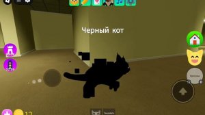 Как же стать котиком черным и котиком акулой? В роблоксе карта Игра с котятами👏