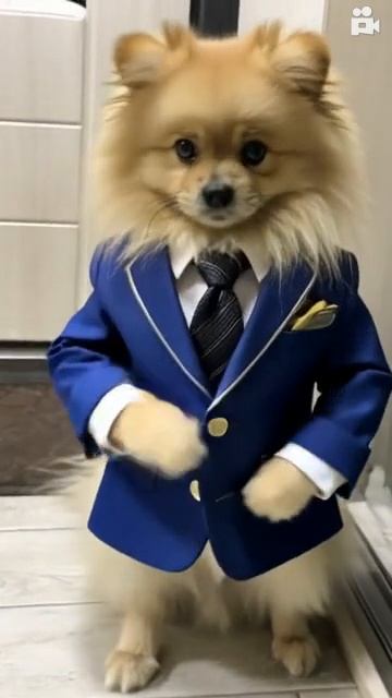 Офисный планктон смотреть онлайн