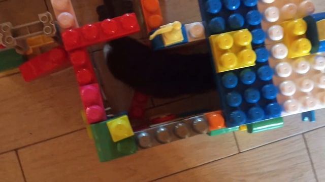 Лабиринт для КОТЕНКА // серия 2 смотреть онлайн