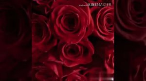 _Клип_//Розы//