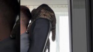 Мне уже этот мир абсолютно понятен…