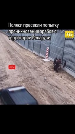 Поляки пресекли попытку проникновения арабов с территории Беларуси. #арабы #миграция #россия