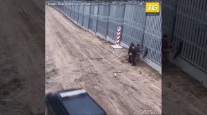 Пшеки бдят, чтобы ни один бобр курва не пролез на их территорию со стороны Белоруссии